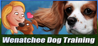 dog training online 